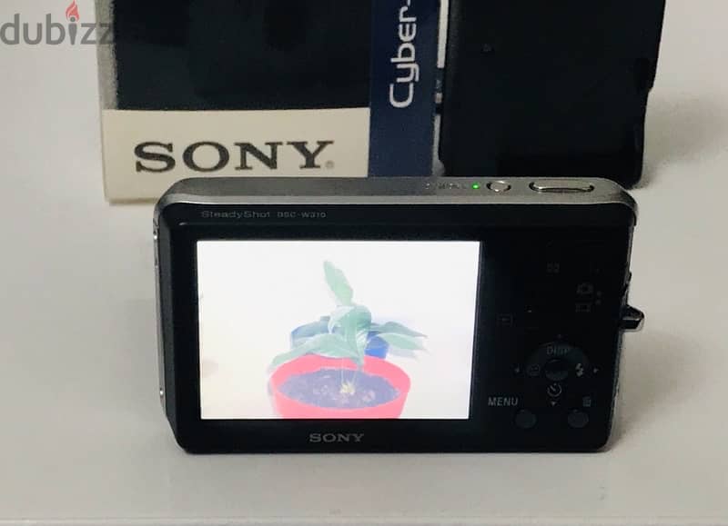Sony Cyber-Shot DSC-W310 12.1 MEGAPIXELS 2