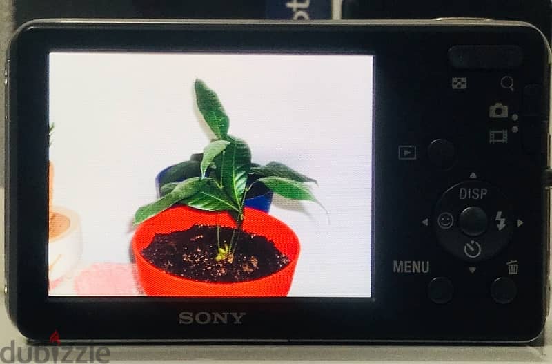 Sony Cyber-Shot DSC-W310 12.1 MEGAPIXELS 3