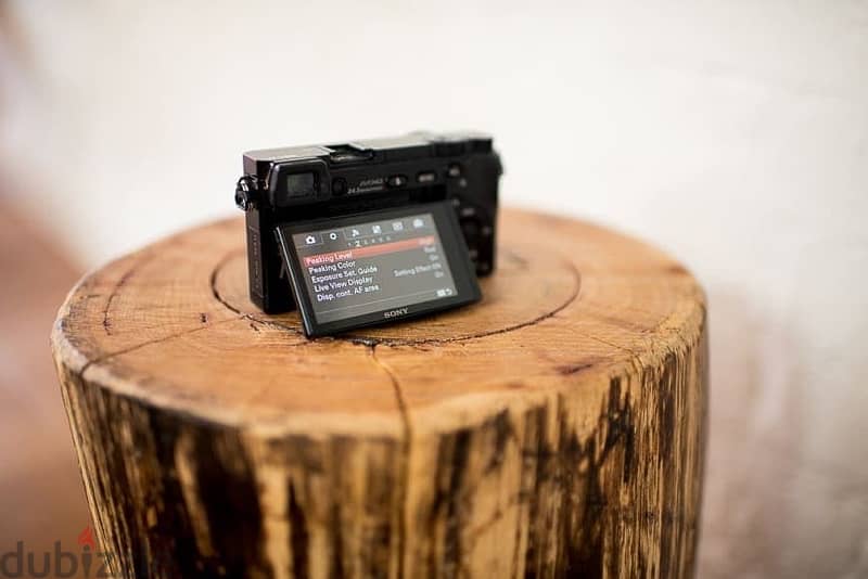 A6000 Sony Mirrorless 2