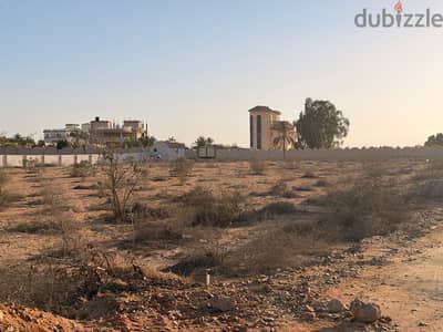 قطعه ارض بسمرقند الريف الفرنساوي