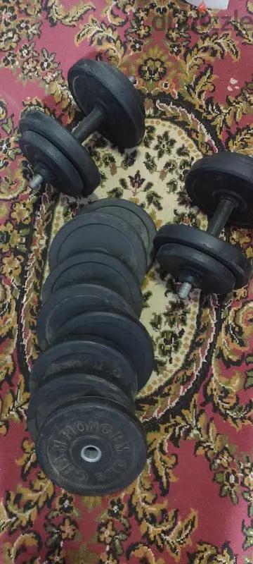 Home Gym Dumbbells