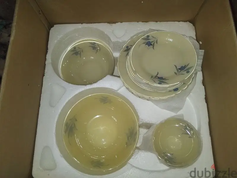 Acroplex Set, 44 Pieces65588834038529122