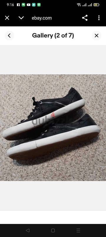 Coach sneaker 3