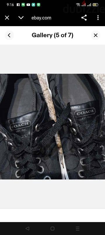 Coach sneaker 5