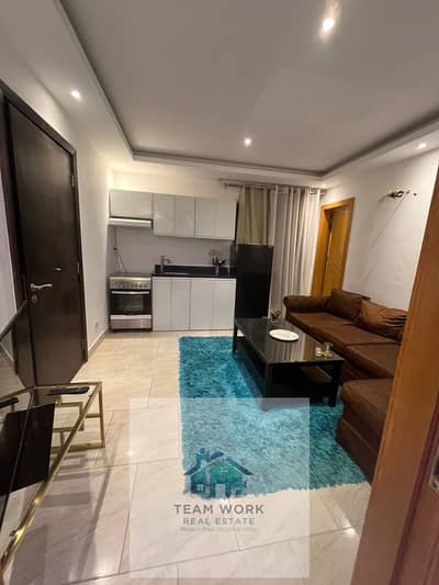 Furnished studio apartment for rent in the most prestigious area of ...