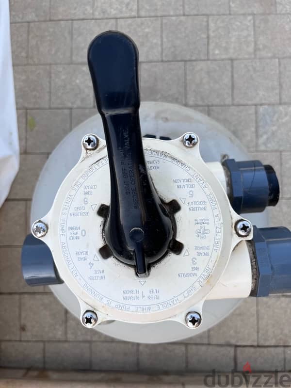 Filter for pool or jacuzzi 2