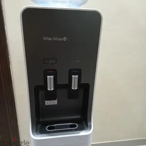 الاسماعيلية