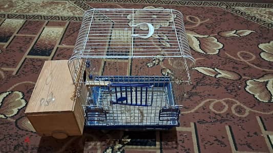 قفص استرالي مستورد بالبياضه