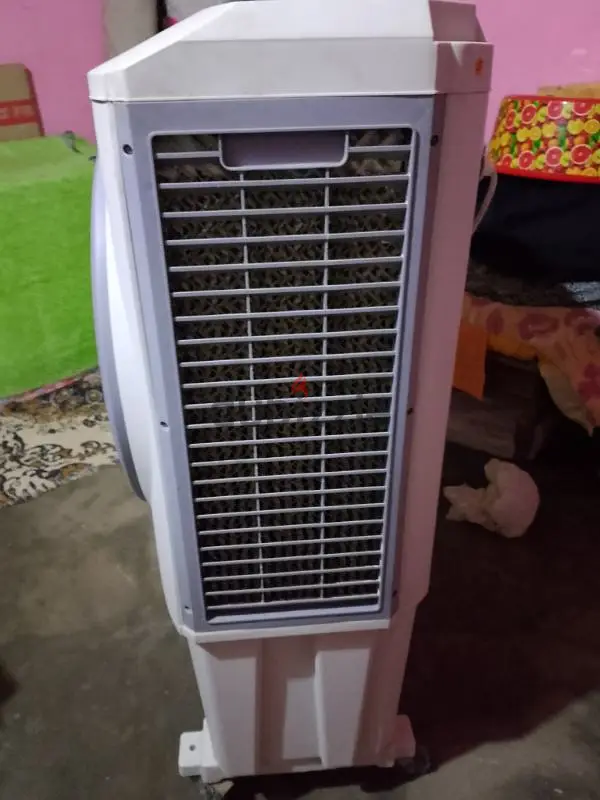 تكيف صحرواى65588264973443121