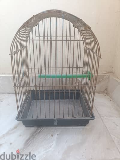 شيالة عصافير