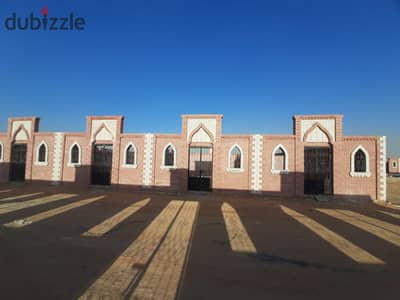 مدفن للبيع مساحه 20 متر في مدينه العاشر من رمضان