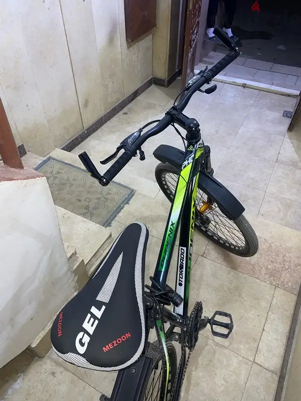 PHOENIX65589371903618127