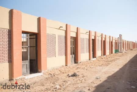 Grave for sale, area 40 meters in the new Cairo cemeteries on the First Sokhna Road