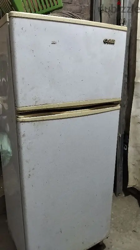 تلاجه جولدي
