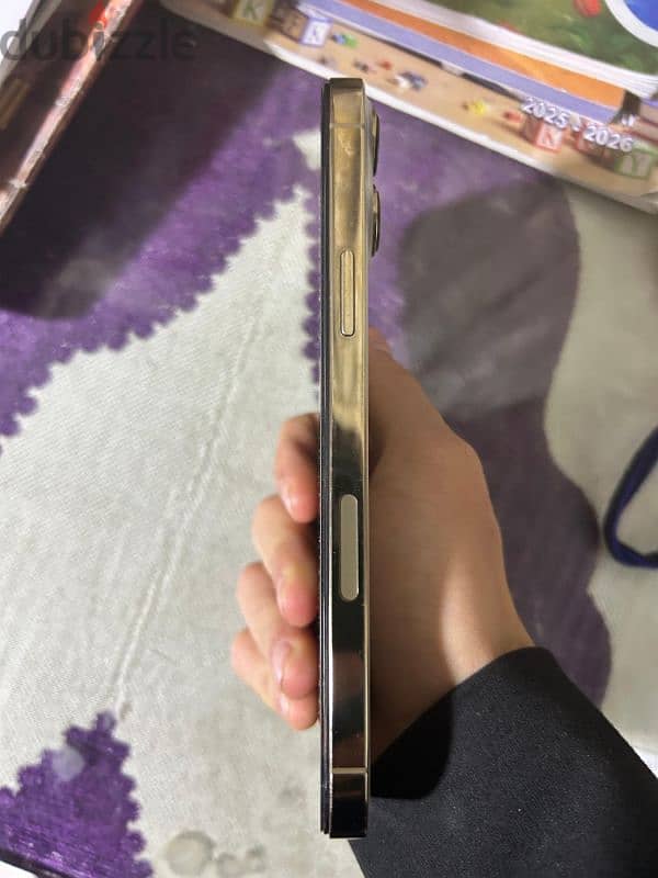 Apple iphone 13 pro max 2