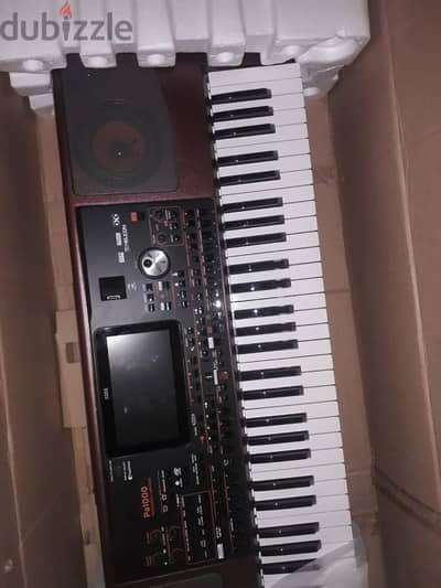 korg pa1000 (new)