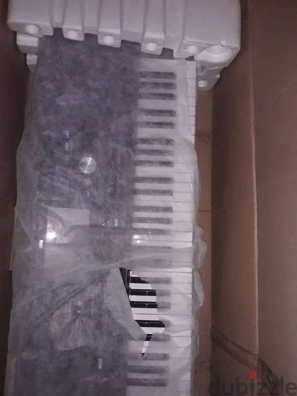 korg pa1000 (new) 1