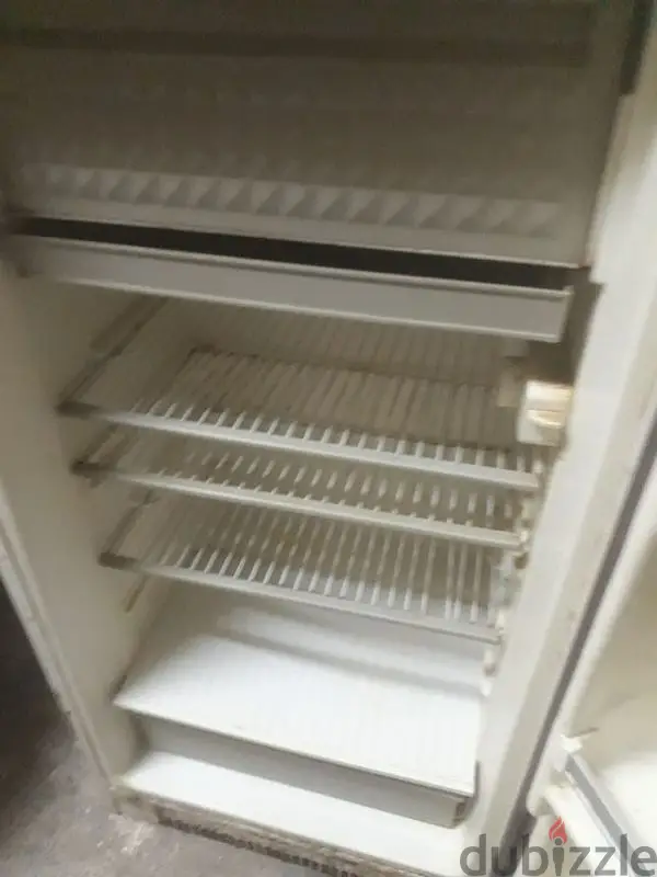 Ideal Refrigerator65594374687745121