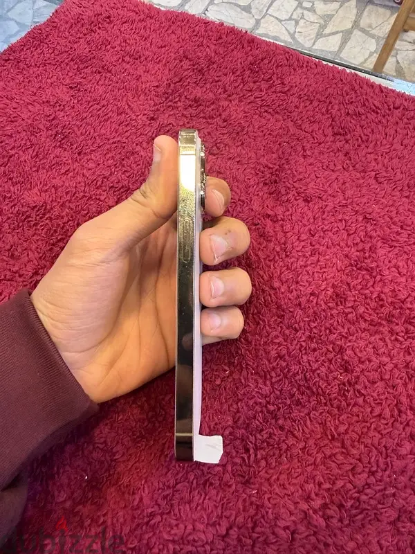iphone 13 pro65595040117506121