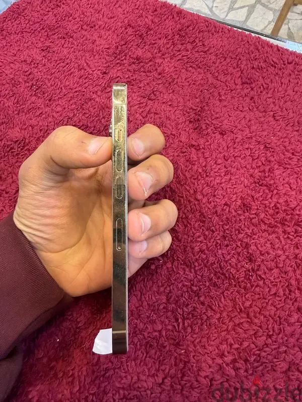 iphone 13 pro65595040117506122