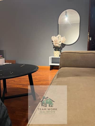 شقة للايجار المفروش بالشيخ زايد المستثمر الصغير-Furnished apartment for rent in Sheikh Zayed, small investor area