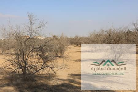 ارض 2700 متر للبيع واجهه 73 متر ومقننه بالثورة الخضرا بالشيخ زايد