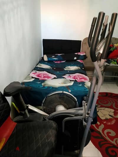 الإسكندرية العصافره