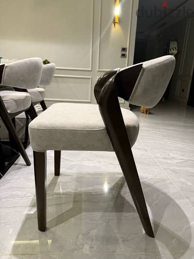 Dining Chairs