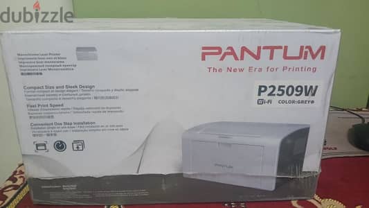 Pantum P2509w