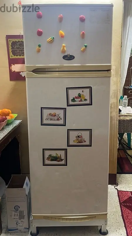 Kreazi Refrigerator