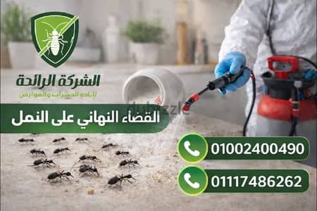 شركة رش حشرات المنزل بمصر