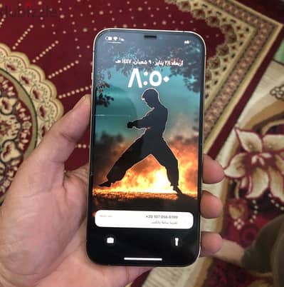 12 برو ماكس