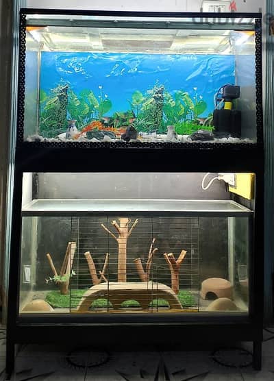 حوض سمك كبير  بالتربيزه والمشتملات