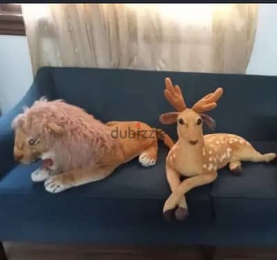 اسد وغزاله اكبر حجم الاتنين ب1000ج