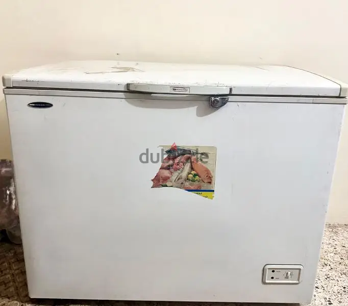 ديب فريزر بولار بير