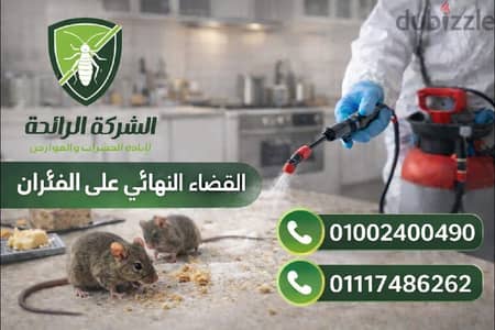 رش حشرات المنزل بمصر