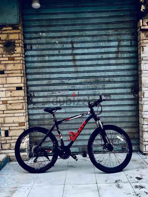 Menofia, Shebin El-Kom