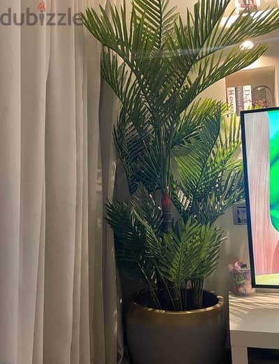 Articial Home Plant