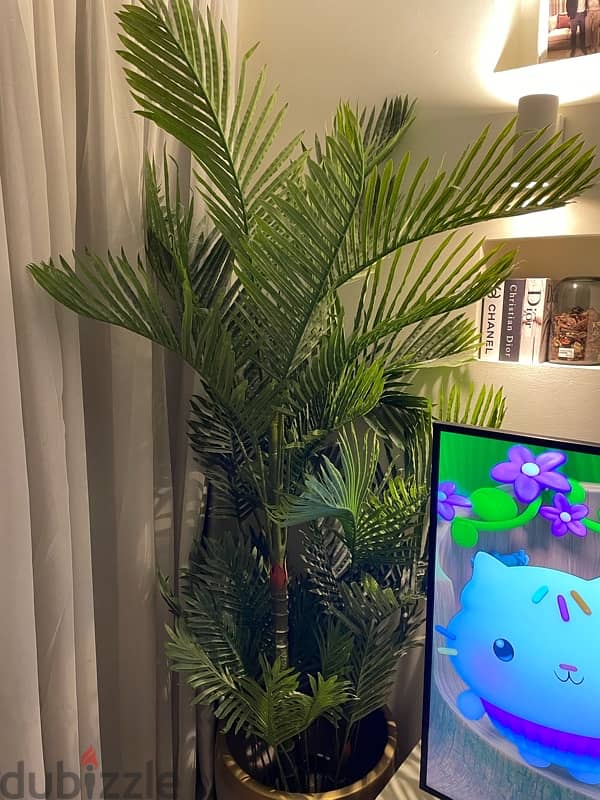 Articial Home Plant 1