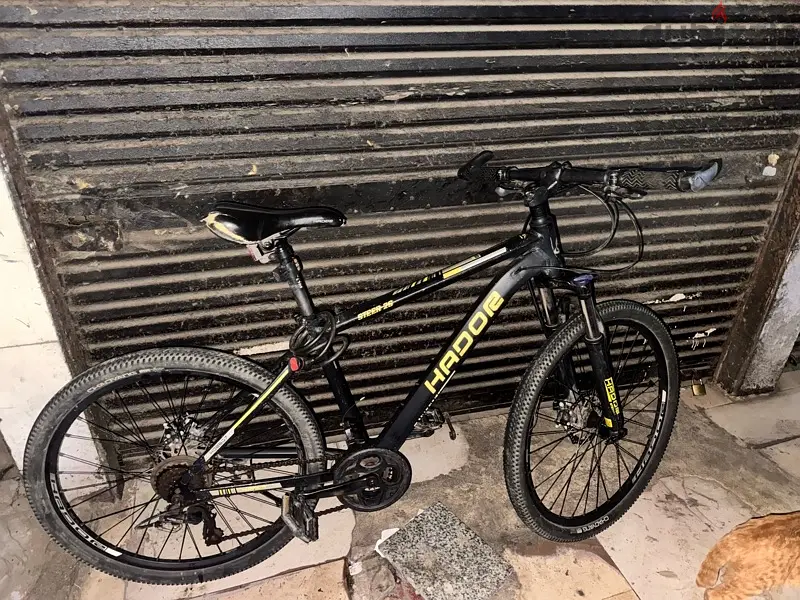 Hador Cart – Price Negotiable