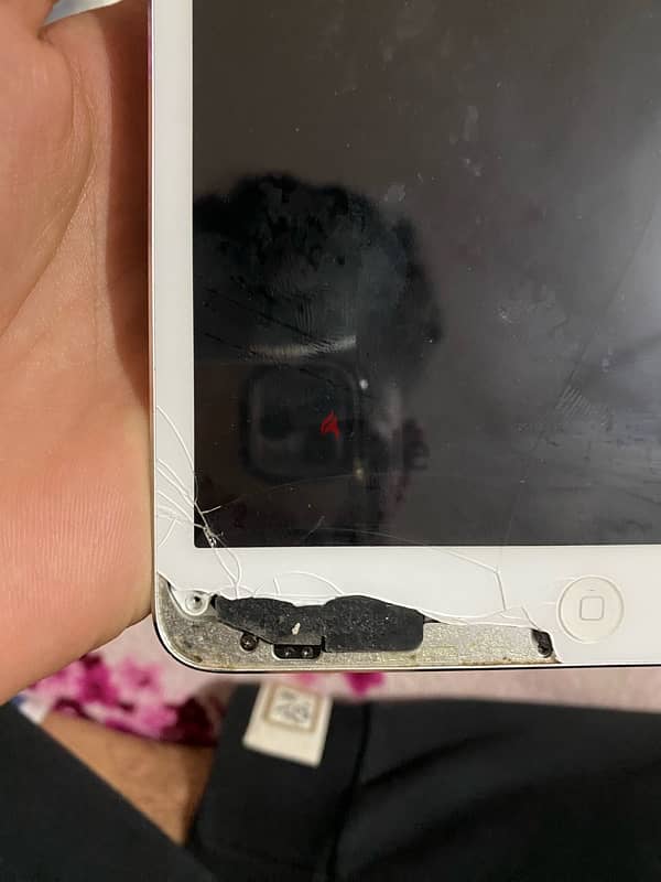 ipad 2 mini 4