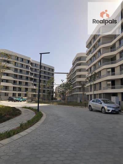 Apartment for sale at Bloomfields 3 bedrooms ready to move with Total price !!!