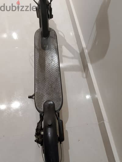 اسكودر شاومي كسر زيرو بالكرتونه