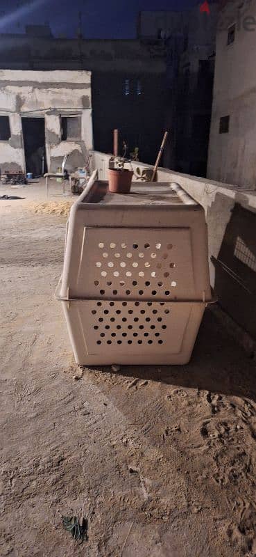 dog travel box 5