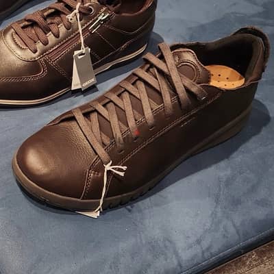 Geox Shoes For Men