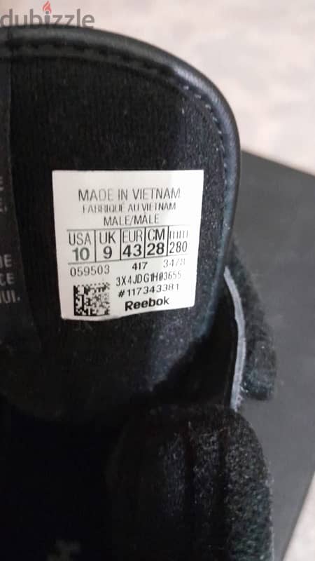 shose 1