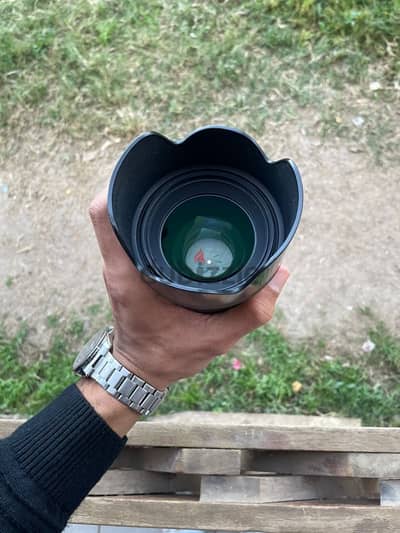 50 1.4 sigma for sony