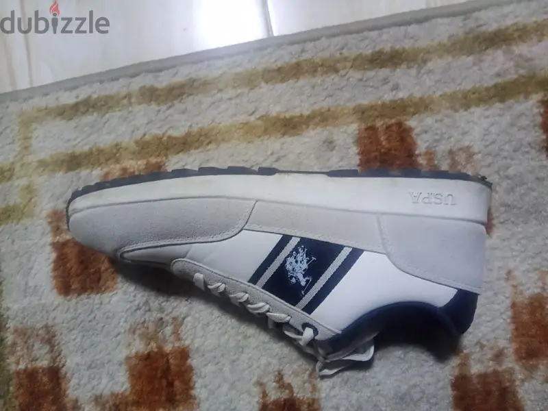 US polo shies
