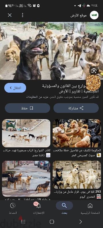مطلوب  مطلوب  كلب للتبني