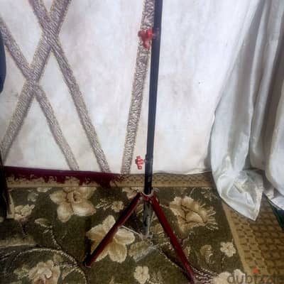 المعادى الجديدة